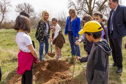 El PEMA de Garray fue el lugar elegido para la plantación en el Día de los Bosques