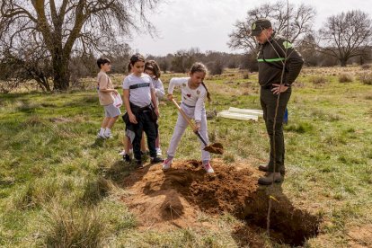 El PEMA de Garray fue el lugar elegido para la plantación en el Día de los Bosques