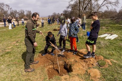 El PEMA de Garray fue el lugar elegido para la plantación en el Día de los Bosques