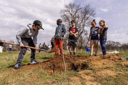 El PEMA de Garray fue el lugar elegido para la plantación en el Día de los Bosques