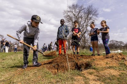 El PEMA de Garray fue el lugar elegido para la plantación en el Día de los Bosques