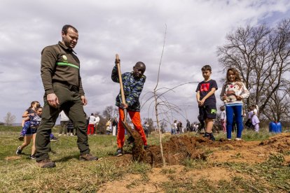 El PEMA de Garray fue el lugar elegido para la plantación en el Día de los Bosques