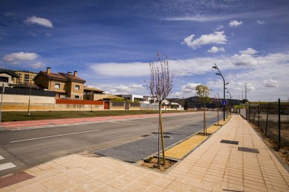 Los árboles ya agarran en las calles de la ciudad