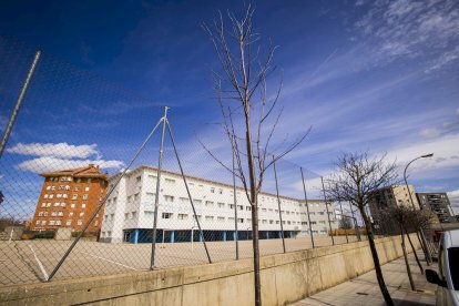 Los árboles ya agarran en las calles de la ciudad