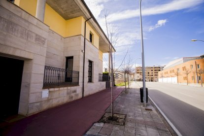 Los árboles ya agarran en las calles de la ciudad