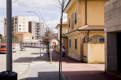 Los árboles ya agarran en las calles de la ciudad
