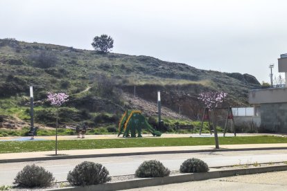 Los árboles ya agarran en las calles de la ciudad