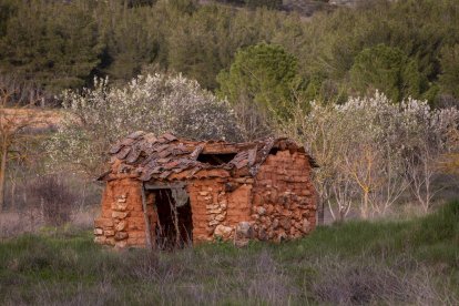 Detalles de uno de los templos más destacados en el patrimonio soriano