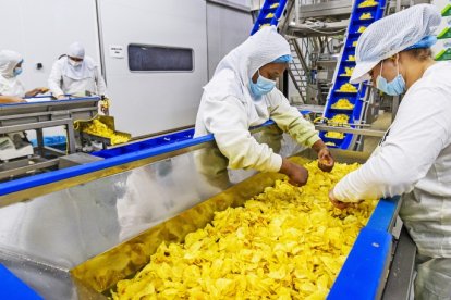 Las patatas se seleccionan a mano tanto en el campo como una vez fritas para garantizar la calidad y el control del proceso en todas sus fases.