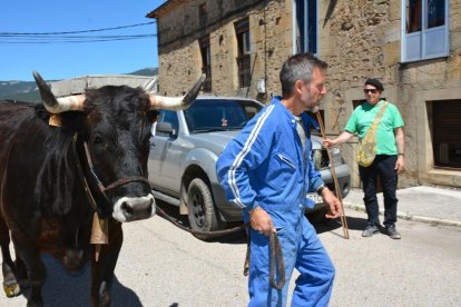 La Cabaña Real de Carreteros recorre Pinares para reclamar la declación de la carretería como BIC inmaterial.
