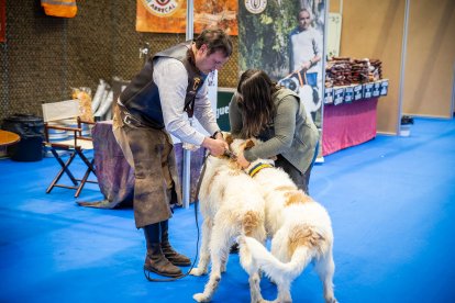 70 expositores estarán abiertos todo el fin de semana en La Dehesa de Almazán