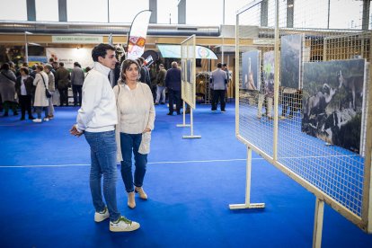 70 expositores estarán abiertos todo el fin de semana en La Dehesa de Almazán