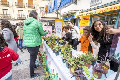 Una mañana llena de animación y aprendizaje en la Plaza de la Tarta