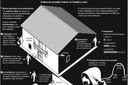 Cultivo de cannabis indoor en Castilla y León.