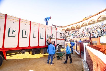 Los novillos para el Viernes de Toros son puntuales y ya descansan en la plaza de Soria.
