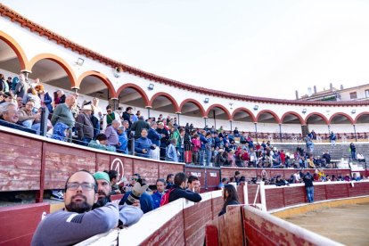 Los novillos para el Viernes de Toros son puntuales y ya descansan en la plaza de Soria