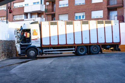 Los novillos para el Viernes de Toros son puntuales y ya descansan en la plaza de Soria