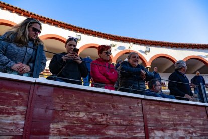 Los novillos para el Viernes de Toros son puntuales y ya descansan en la plaza de Soria