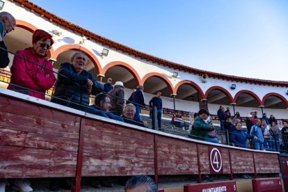 Los novillos para el Viernes de Toros son puntuales y ya descansan en la plaza de Soria