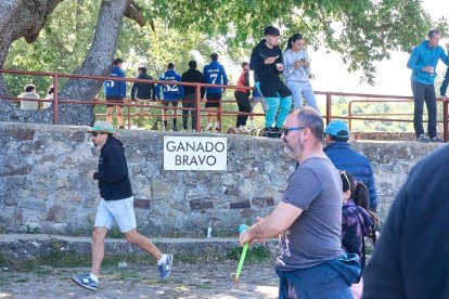 Las fiestas de San Juan 2024 ya celebran su primer acto en Valonsadero, el Desencajonamiento.