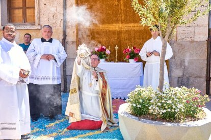 El Burgo de Osma volvió a vivir un Corpus Christi lleno de color y fervor con sus tradicionales alfombras florales.