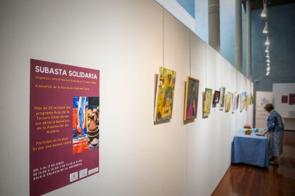 Muestra artística y solidaria en el Palacio de la Audiencia de Soria.