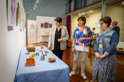 Muestra artística y solidaria en el Palacio de la Audiencia de Soria