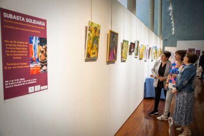 Muestra artística y solidaria en el Palacio de la Audiencia de Soria
