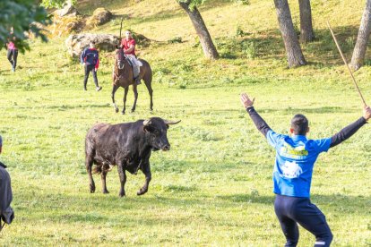 Tradicional 'Lavalengüillas' en Valonsadero