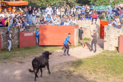 Tradicional 'Lavalengüillas' en Valonsadero