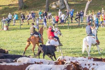 Tradicional 'Lavalengüillas' en Valonsadero