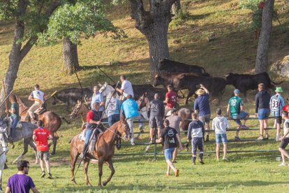 Tradicional 'Lavalengüillas' en Valonsadero