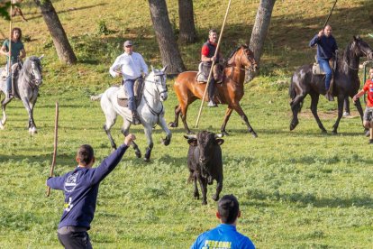 Tradicional 'Lavalengüillas' en Valonsadero