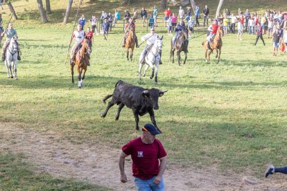 Tradicional 'Lavalengüillas' en Valonsadero