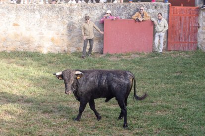 Tradicional 'Lavalengüillas' en Valonsadero