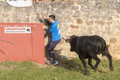 Tradicional 'Lavalengüillas' en Valonsadero