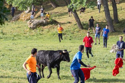 Tradicional 'Lavalengüillas' en Valonsadero