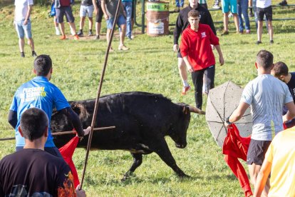 Tradicional 'Lavalengüillas' en Valonsadero