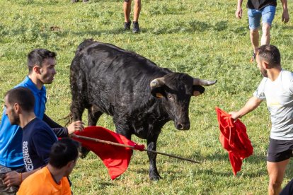 Tradicional 'Lavalengüillas' en Valonsadero