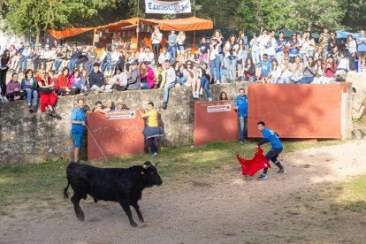 Tradicional 'Lavalengüillas' en Valonsadero
