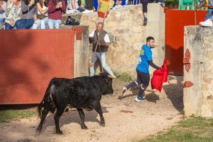 Tradicional 'Lavalengüillas' en Valonsadero