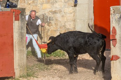Tradicional 'Lavalengüillas' en Valonsadero