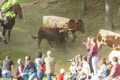 Tradicional 'Lavalengüillas' en Valonsadero