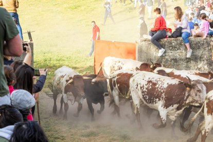 Tradicional 'Lavalengüillas' en Valonsadero