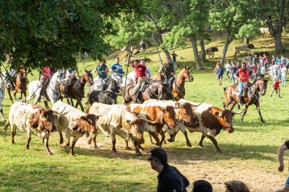 Tradicional 'Lavalengüillas' en Valonsadero
