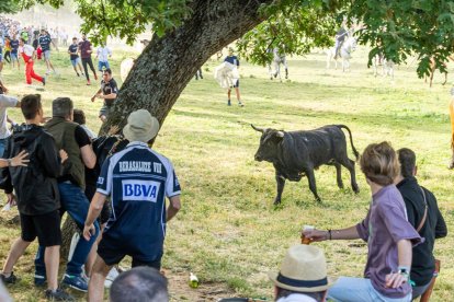 Tradicional 'Lavalengüillas' en Valonsadero