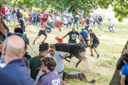 Tradicional 'Lavalengüillas' en Valonsadero