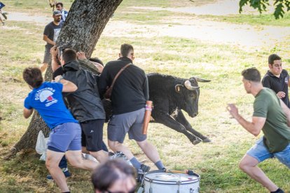 Tradicional 'Lavalengüillas' en Valonsadero