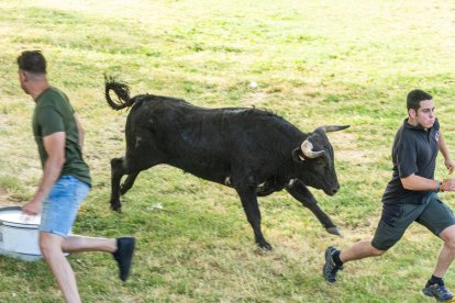 Tradicional 'Lavalengüillas' en Valonsadero