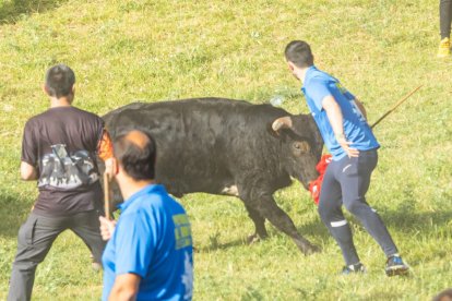 Tradicional 'Lavalengüillas' en Valonsadero